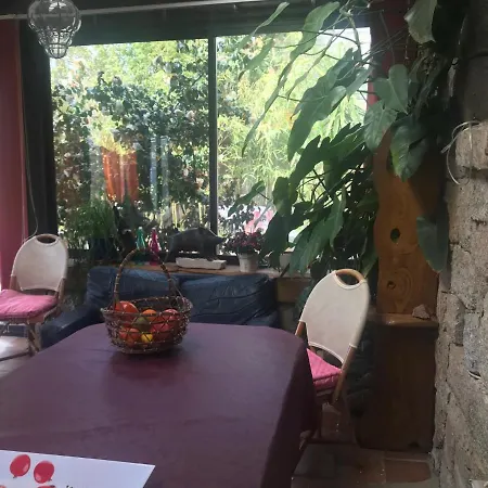 Le Paradis Bed & Breakfast Zicavo